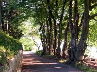 20150517 201324  Evening light