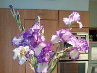 20150519 184404  Bouquets refreshed with new specimens