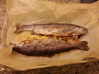 20150519 184601  Trout were on sale and delicious!
