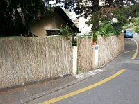 20150523 104156  Spanish dog rescue house