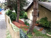 20150523 104226  A vast improvement over what it had been.