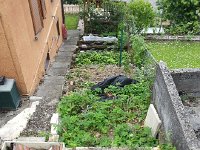 20150523 121939  On the way back, there used to be turtles here