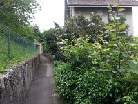 20150523 122228  Kiwis set to attack