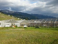 20150523 184849  Like this since 2006