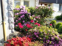 20150523 190248  Azaleas at David&#39;s front door.