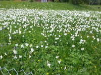 20150525 142610  Right at Haut de Caux