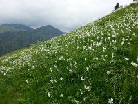 20150525 144741  Starting down Nermont