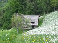 20150525 145836  Chalet