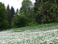 20150525 150200  And more.