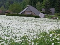 20150525 150245  Snows of May