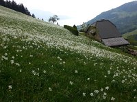 20150525 150624  Further downslope