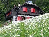 20150525 150944  Where I envision Nikki and Austin living