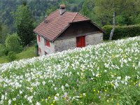 20150525 151211  At the bottom of the slope