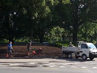 20150527 093822  27 May Redoing the flower bed in Bern