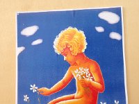 IMG 1342  We climb to Les Avants for an early pre-narcissus festival