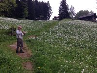 IMG 1371  Holding the camera steady