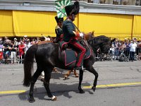 20150530 142238  The cavalry