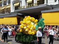 20150530 143533  Grapes?