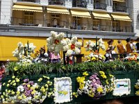 20150530 144913  Wonderful replicas of narcissus