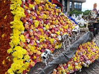 20150530 155151  Poya