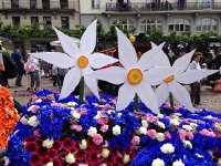 IMG 1387  Wooden narcisses