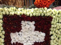 IMG 1397  Croix blanche