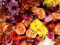 IMG 1400  In case you forgot what the floats were made of...