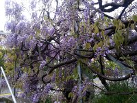 20150504 081957  4 May Off to Austria...