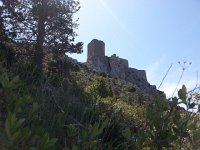 20150510 125126  Is this where we came in 1981?