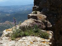 20150510 131804  Botany