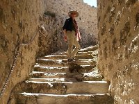 20150510 145556  Pausing on her way