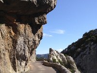 IMG 1329  The coast is clear!