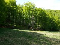 20150511 113611  The meadow hydrology will change with an upcoming harvest