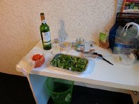 20150511 205522  Motel room dinner!