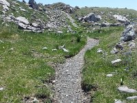 20150512 132609  The trails winds onward...