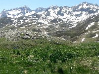 20150512 133027  Alpine