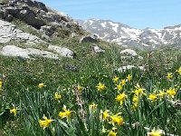 20150512 133335  Didn&#39;t think that I&#39;d see these here!