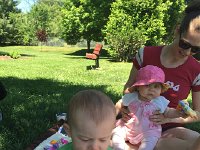 IMG 1597  Assessing the apples