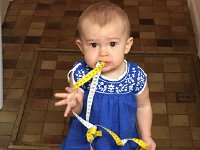 IMG 1633  Taking her measure