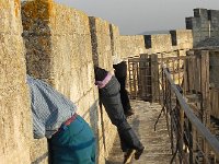 DSCN5082  and the rest of the bodies