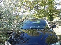 DSCN5120  14 November. We drive to near Manosque