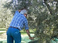 DSCN5139  Jeff working down low