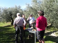 DSCN5140  Pause-café with fruit cake