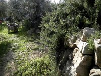 DSCN5177  View from the table