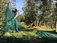 IMG 0167  Jeff spreading the nets