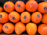 DSCN5206  I just learned that persimmons are &#34;kakis&#34; in French