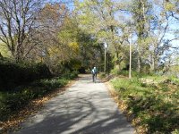 DSCN5219  along the banks of the Rhône