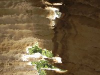 DSCN5239  The rock looked almost like salt