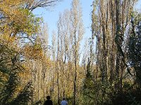 DSCN5251  On our way back