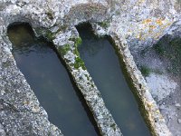 IMG 0223  The above ground surface was dominated by sarcaphagi